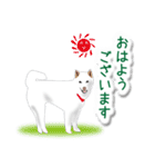 うちの犬が一番（個別スタンプ：1）