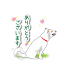 うちの犬が一番（個別スタンプ：2）