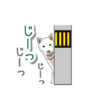 うちの犬が一番（個別スタンプ：7）