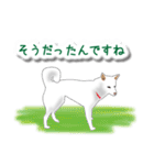 うちの犬が一番（個別スタンプ：8）