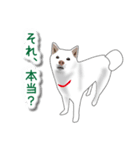 うちの犬が一番（個別スタンプ：9）