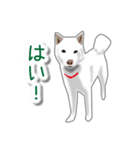 うちの犬が一番（個別スタンプ：14）