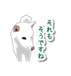 うちの犬が一番（個別スタンプ：25）