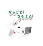 うちの犬が一番（個別スタンプ：26）