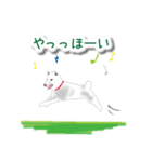 うちの犬が一番（個別スタンプ：30）