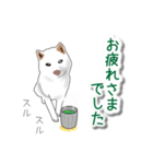 うちの犬が一番（個別スタンプ：40）