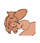 Drunk Squirrel（個別スタンプ：20）