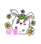 Daifukumochi Rabbit（個別スタンプ：12）