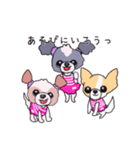 でこぼこ姉妹犬 Chelsea先輩 ＆ Rosebud後輩（個別スタンプ：35）