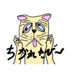 ほんわか猫生活（個別スタンプ：13）