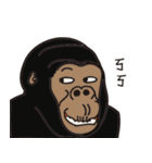 you need a gorilla（個別スタンプ：11）