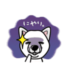 iinu 北海道犬（個別スタンプ：13）