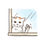 Orange white cat "FARDI"（個別スタンプ：10）