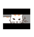 Orange white cat "FARDI"（個別スタンプ：22）