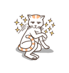 Orange white cat "FARDI"（個別スタンプ：37）