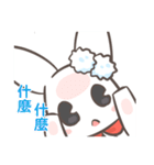 Two-sided Rabbit（個別スタンプ：21）