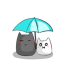 Black and White cats（個別スタンプ：21）