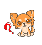 Chihuahua-Bagel（個別スタンプ：2）