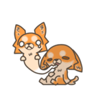 Chihuahua-Bagel（個別スタンプ：38）