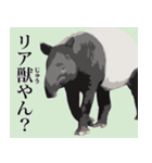 シロクロZoo（マレーバク編）（個別スタンプ：9）