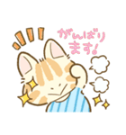 にゃんころとぴよちゃん（個別スタンプ：8）