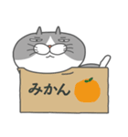 だって、ねこだもの（個別スタンプ：35）