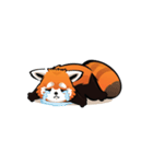 Taka the Tanuki（個別スタンプ：13）