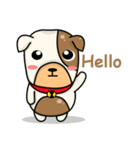 Hideo the Bulldog（個別スタンプ：1）