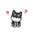 My Lovely Black Shiba（個別スタンプ：1）