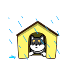 My Lovely Black Shiba（個別スタンプ：17）