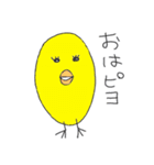 インコのピヨきち（個別スタンプ：1）