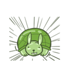 Green Little rabbit Turtle（個別スタンプ：1）