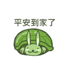 Green Little rabbit Turtle（個別スタンプ：6）