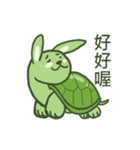 Green Little rabbit Turtle（個別スタンプ：19）