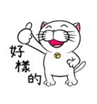 Stupid Fat White Cat 2（個別スタンプ：17）