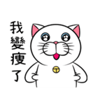 Stupid Fat White Cat 2（個別スタンプ：20）