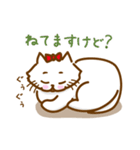 お散歩Cat（個別スタンプ：28）