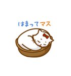 お散歩Cat（個別スタンプ：39）