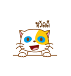 KAI-TOM The Cat (Dookdik)（個別スタンプ：1）