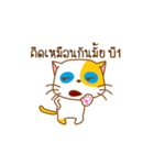 KAI-TOM The Cat (Dookdik)（個別スタンプ：15）