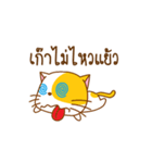 KAI-TOM The Cat (Dookdik)（個別スタンプ：23）