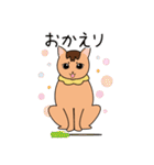 ちゃいろ と しろくろのねこ（個別スタンプ：5）
