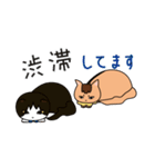 ちゃいろ と しろくろのねこ（個別スタンプ：7）