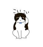 ちゃいろ と しろくろのねこ（個別スタンプ：16）