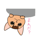 ちゃいろ と しろくろのねこ（個別スタンプ：17）
