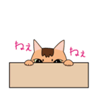ちゃいろ と しろくろのねこ（個別スタンプ：23）