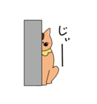 ちゃいろ と しろくろのねこ（個別スタンプ：31）