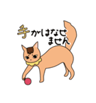 ちゃいろ と しろくろのねこ（個別スタンプ：32）
