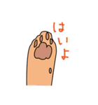 ちゃいろ と しろくろのねこ（個別スタンプ：35）