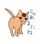 ちゃいろ と しろくろのねこ（個別スタンプ：40）